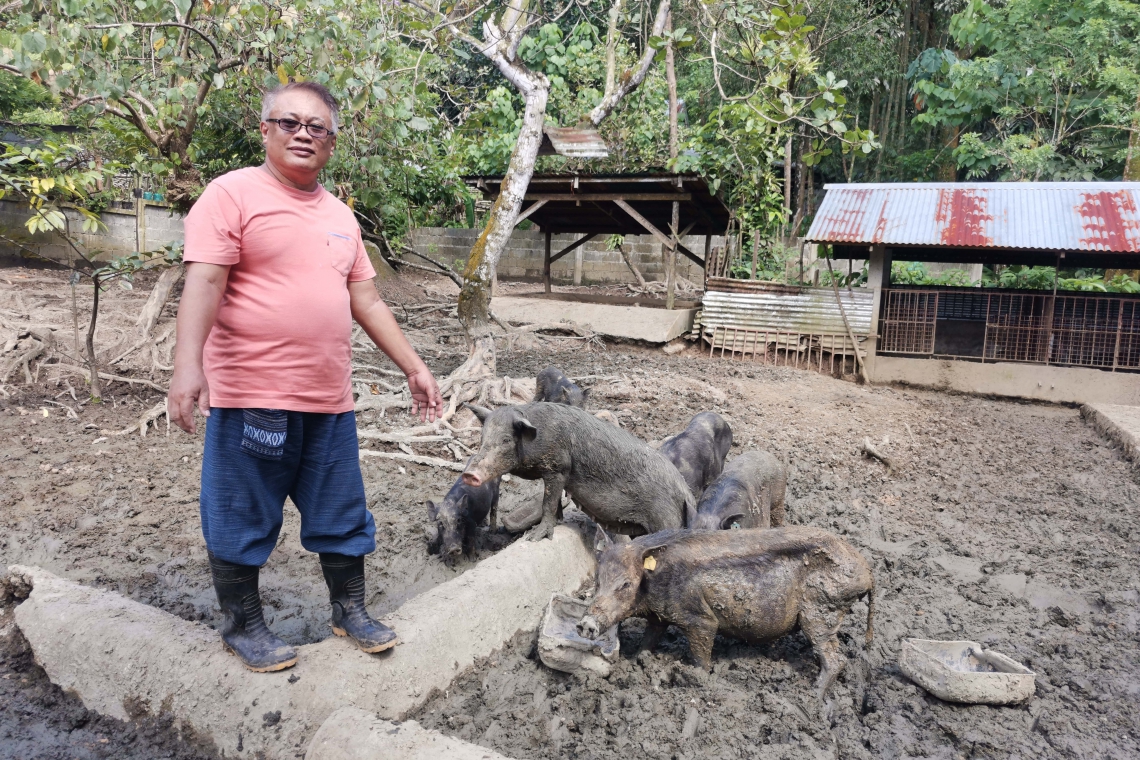 Retiradong mananaliksik at propesor, tagumpay na nagsulong ng negosyo ng ‘native’ na baboy 