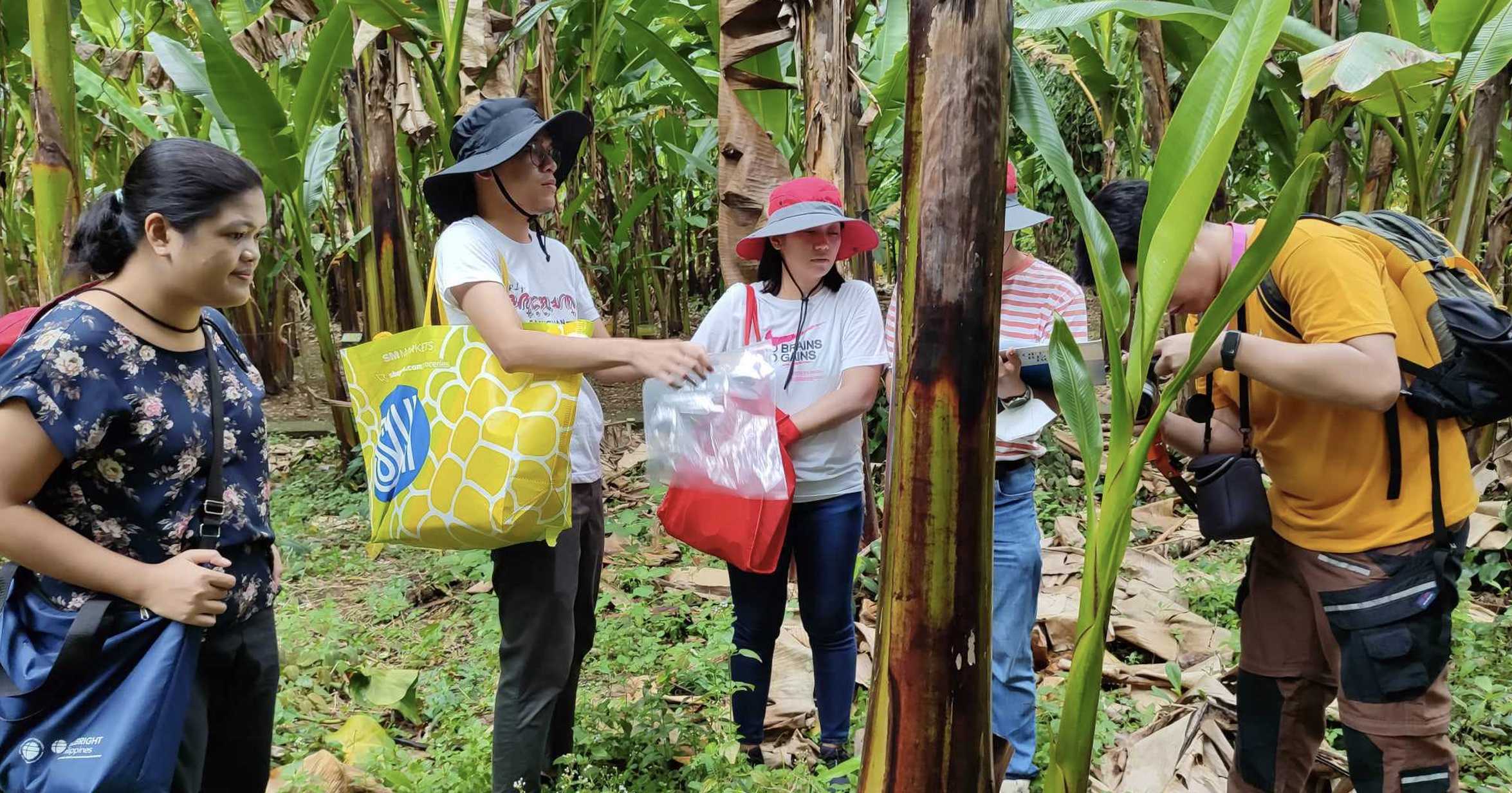 DOST-ITDI project team collecting leaf samples in Bicol region. Image credit: DOST-ITDI