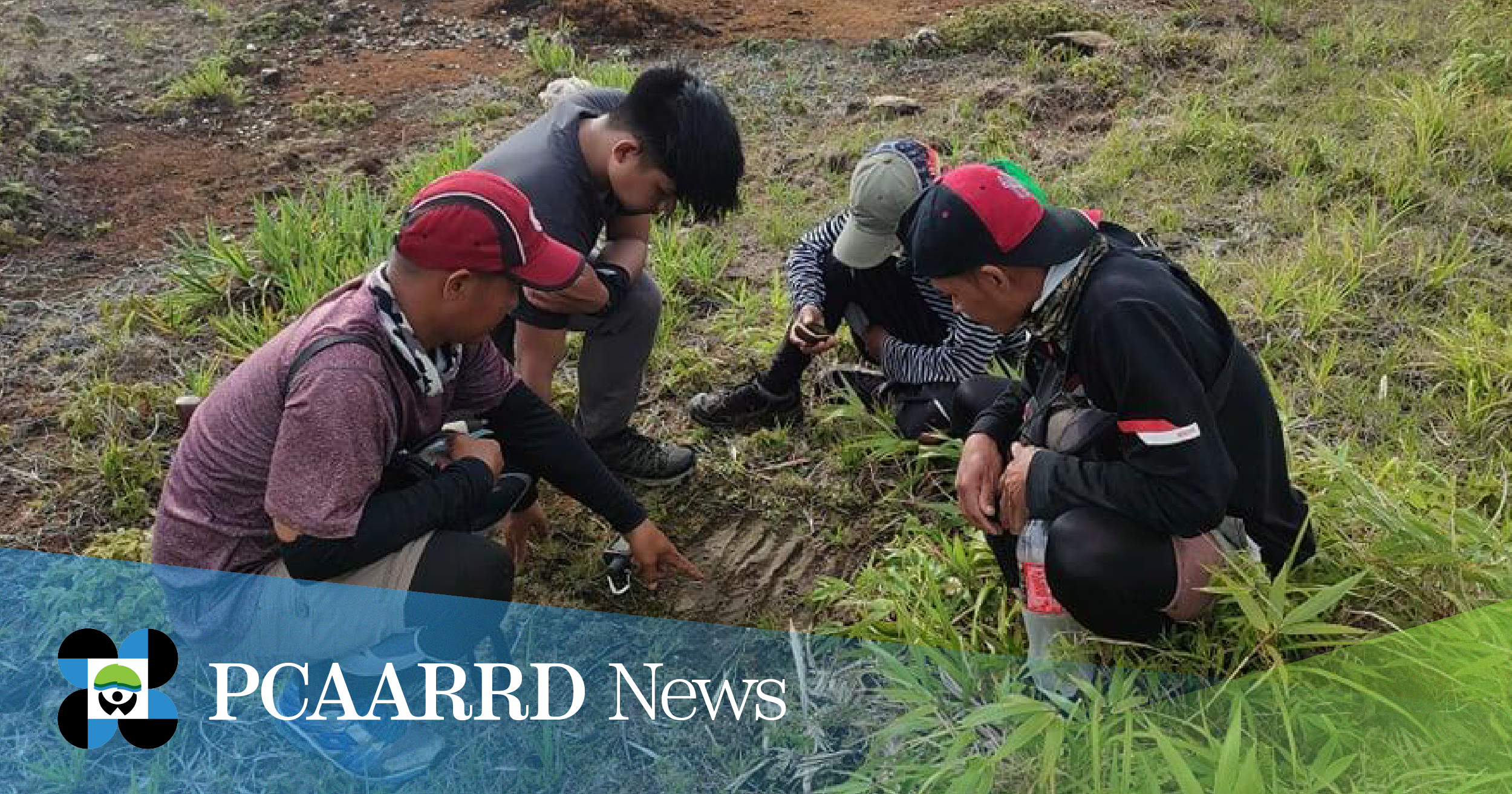 Balik Scientist advocates technology-based Tamaraw conservation