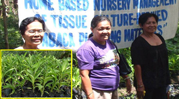 Members of the Tiniwisan Rural Improvement Club show off their abaca seedlings (inset). Mrs. Myrna Balisbis, project focal person, is at the extreme right.