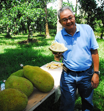 Jackfruit expert and trader. Magsasaka Siyentista  Job Abuyabor holding a freshly sliced jackfruit harvested from his farm in Mahaplag, Leyte.(Photo and text by April Rose A. Itchon, S&T Media Service)