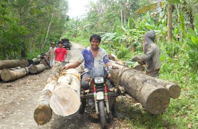 Hauling by habal-habal (Photo by Diomedes A. Racelis, UPLB-CFNR)