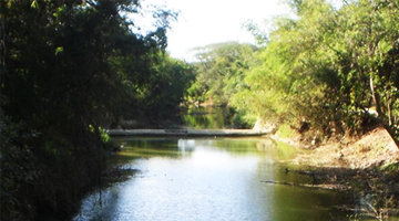 The Quiaoit River Watershed, Ilocos Norte.