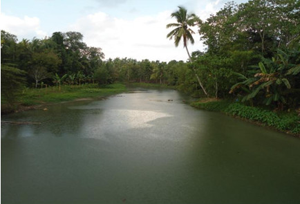 The Saug Watershed, Davao.