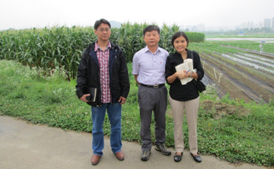 (From left) Dr. Agham C. Cuevas, Dr. Kim, Sung-kook, and Ms. Aleta Belissa D. Correa at the NICS corn experiment station, Suwon, South Korea.