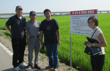 (From left) Dr. Park, Sung-ho, Mr. Hwang, Im Ho, direct-seeding rice farmer, Dr. Agham C. Cuevas, and Ms. Aleta Belissa D. Correa at a rice farm in Pyeongtaek, South Korea.